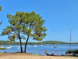 A beach with a clear sky, a pine tree, and boats on the water. - Cottage with an idyllic garden at the lake G0239 (Lacanau)