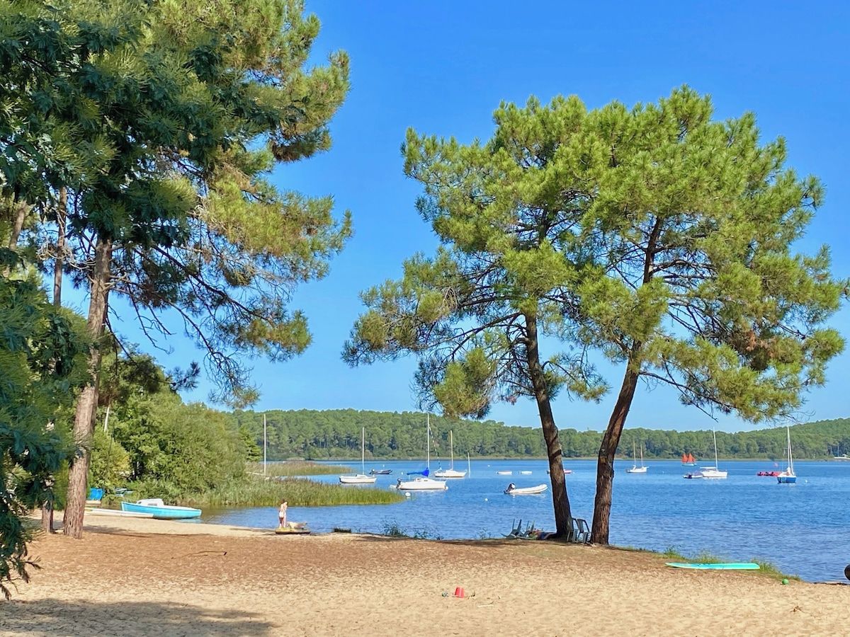 A beach with trees, a sandy shore, and boats on the water.