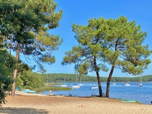 A beach with trees, a sandy shore, and boats on the water.