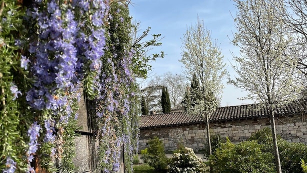 A stone building with a gravel path leading to it, surrounded by greenery and flowering plants.
