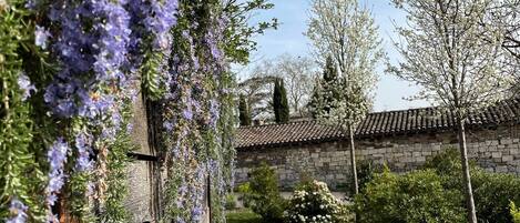 المنطقة المحيطة بالمنشأة