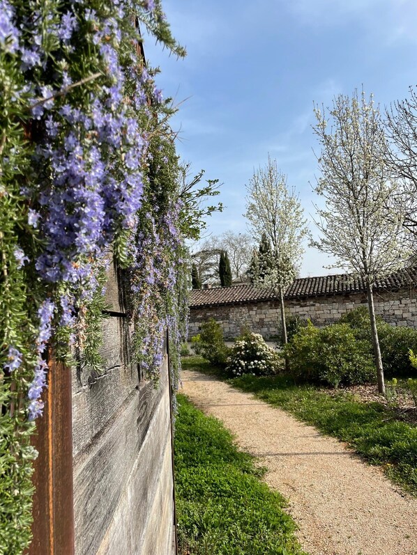 Terrain de l’hébergement