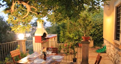 Terrace On the Park - "Carretteria"