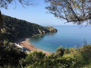 Playa en los alrededores y camastros 