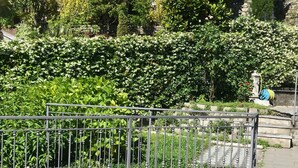 Une clôture en métal, avec un chemin de pierre menant à un espace jardin agrémenté de diverses plantes et d’un élément décoratif aquatique.