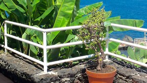 Una planta en maceta con vista al océano y una isla distante.