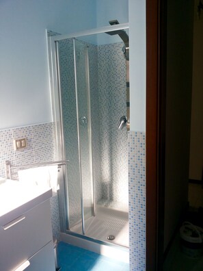 Shower, hair dryer, bidet, towels