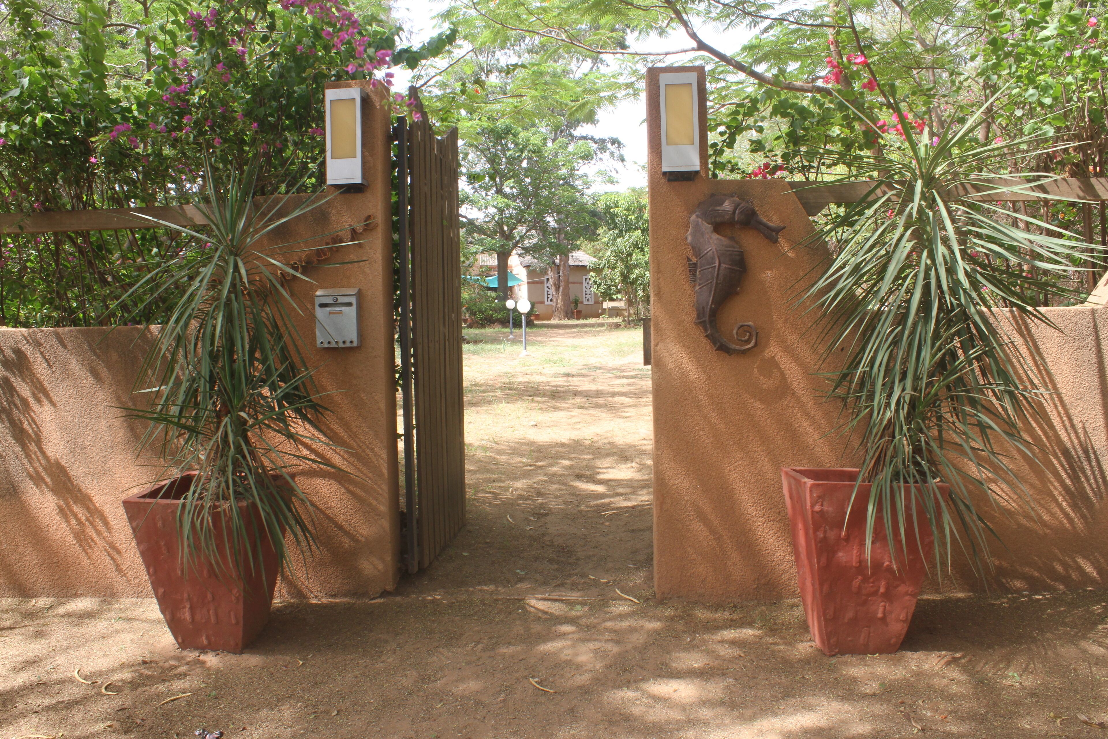 A gated entrance with a wooden gate, two potted plants, and a wall-mounted light fixture.