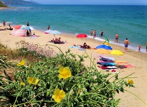 Ein Strand mit badenden Personen, bunten Sonnenschirmen und Blumen im Vordergrund.