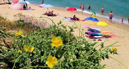 Appartement de vacances - f idéal. Famille et le groupe - à quelques pas de la mer
