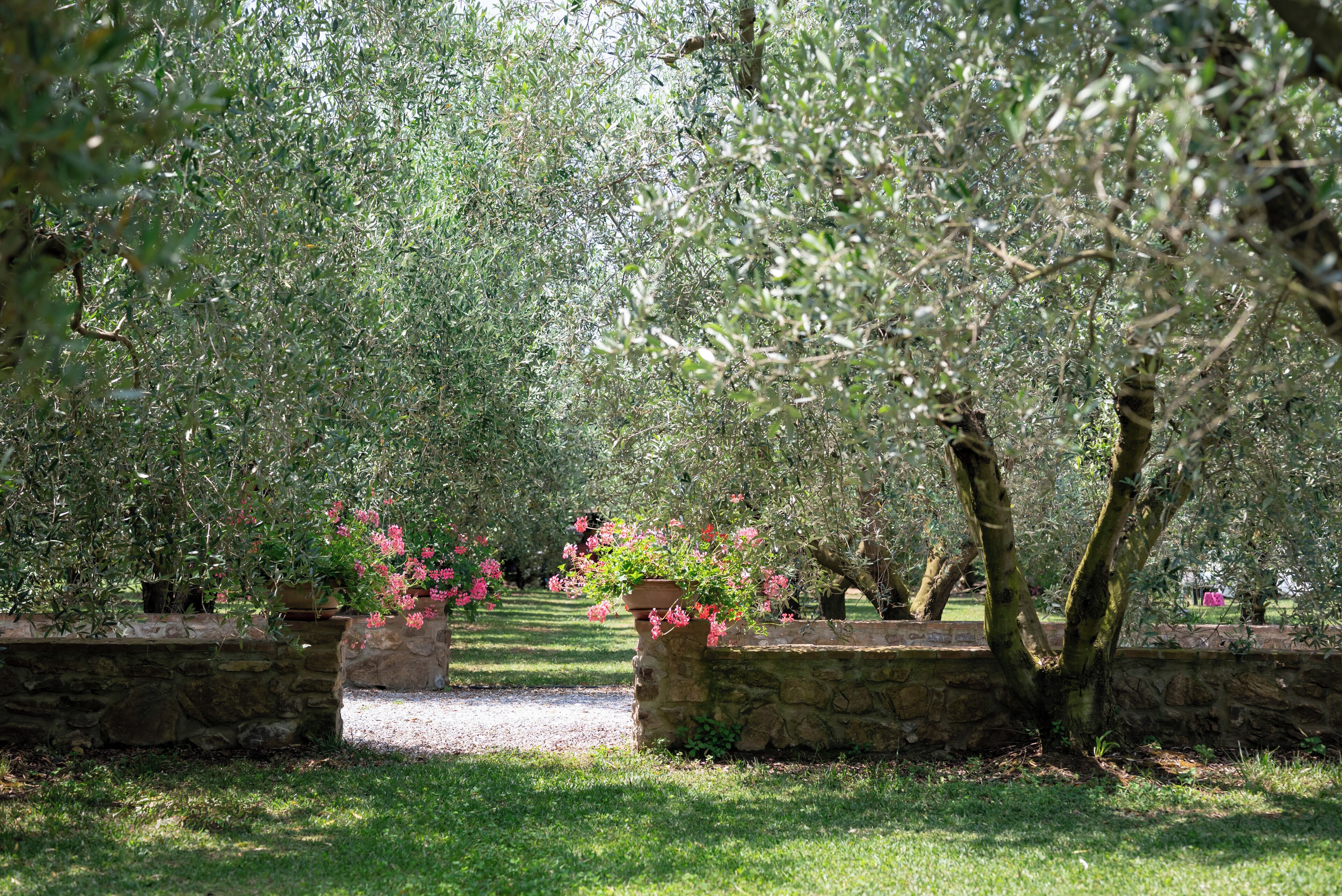 Áreas de la propiedad