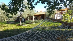 Un hamac dans un jardin, avec une maison en arrière-plan.