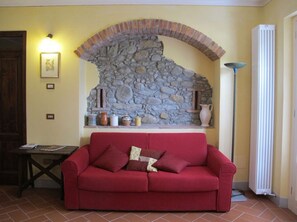 Televisión, chimenea y libros 