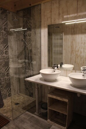 Douche, séchoir à cheveux, papier de toilette