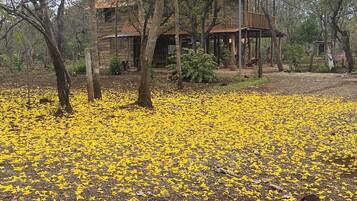 Traditional Cabin | 3 bedrooms, premium bedding, down duvets, individually furnished