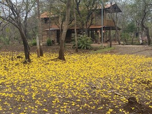 Tavanomainen mökki | 3 makuuhuonetta, ylelliset vuodevaatteet, untuvapeitot