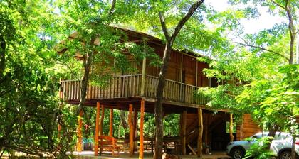 Finca Avellanas
