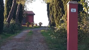 Property grounds - Casaletto with swimming pool in the Tuscan Maremma in Magliano (Magliano in Toscana)