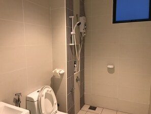 Shower, hair dryer, bidet, towels