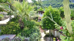 A lush garden with a variety of plants, a stone pathway, and a building with a red roof in the background.