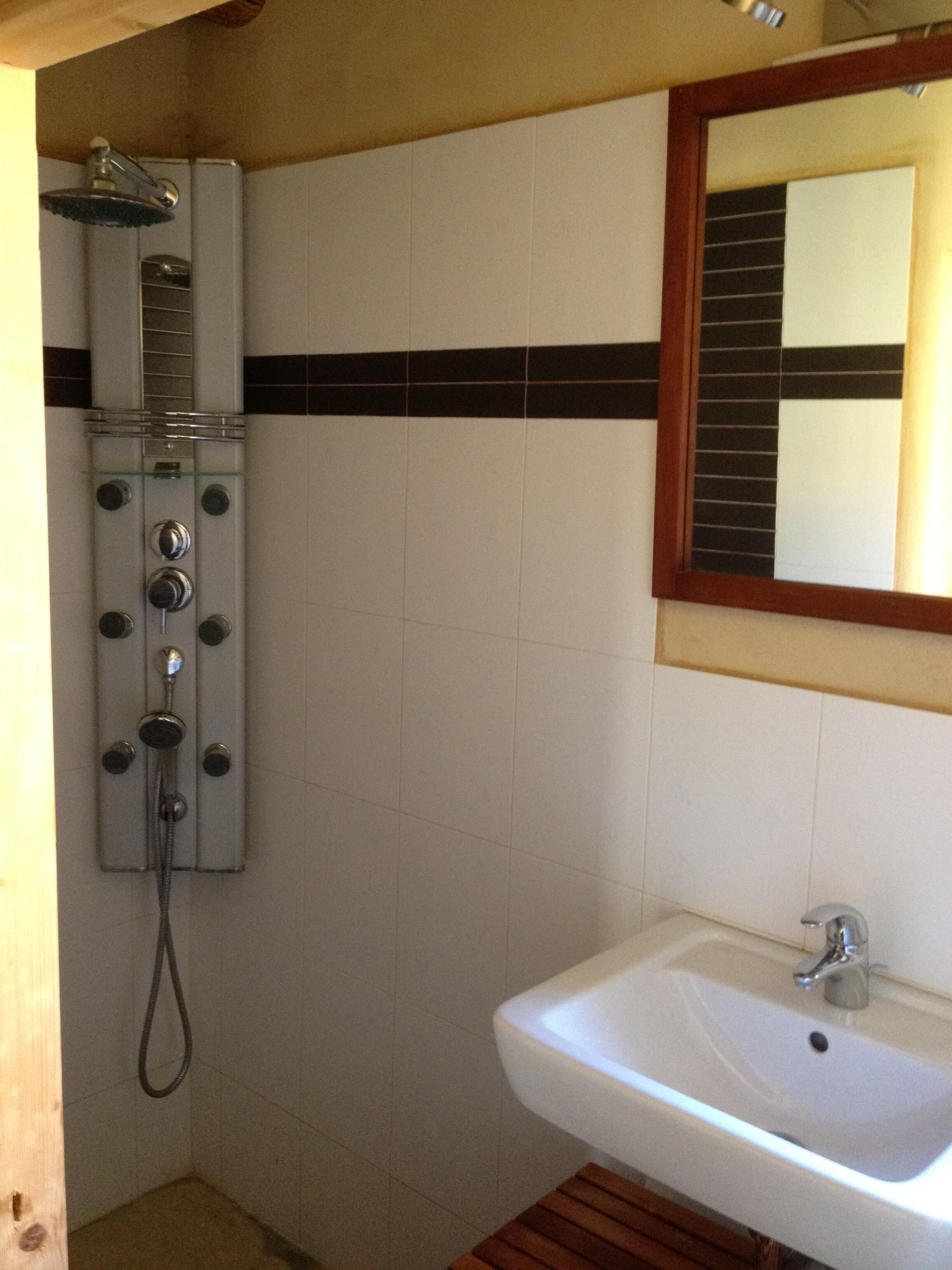 A bathroom with a shower, a sink, and a mirror.