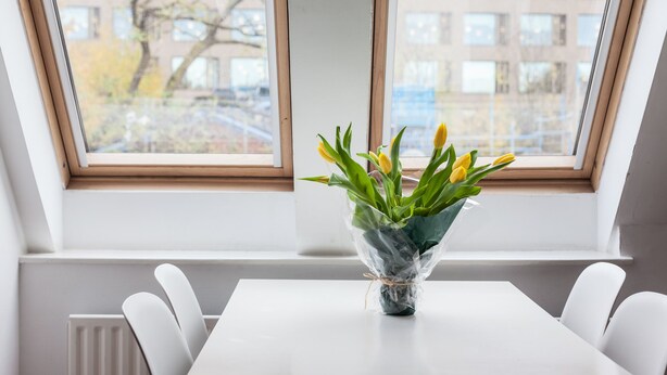 Une table blanche sur laquelle est posé un vase rempli de tulipes jaunes, le tout dans un récipient en plastique transparent, placé devant une fenêtre donnant sur un bâtiment et des arbres.