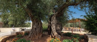 Terra Mater - exclusive cottage