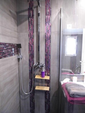 Shower, hair dryer, towels, toilet paper - STUDIO 25 M2 in villa with swimming pool near Aix (MEYREUIL)