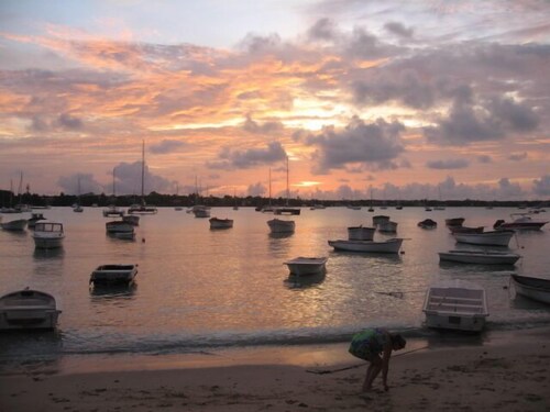 Ile Maurice; Pereybere Dans résidence  pleine nature ,  piscine  1.8km  de la pl