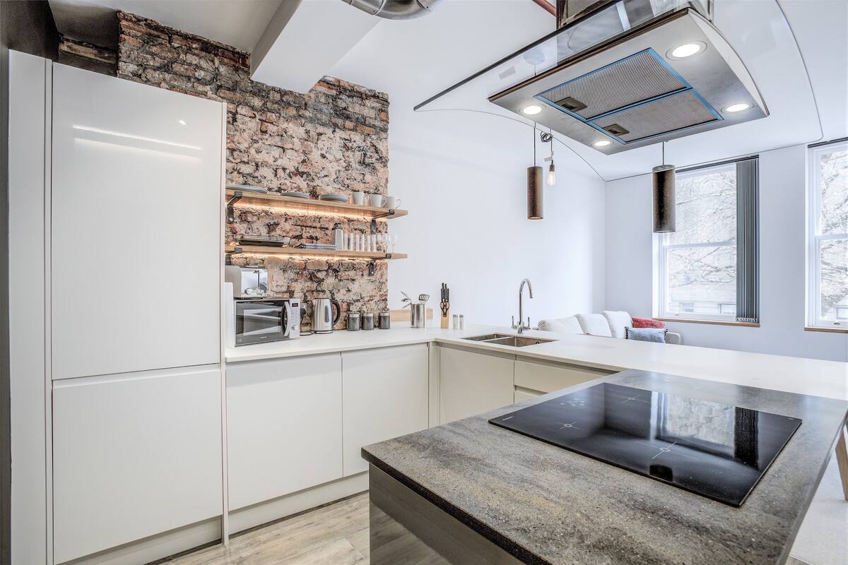 Luxury Apartment (3) | Private kitchen | Full-size fridge, microwave, oven, stovetop