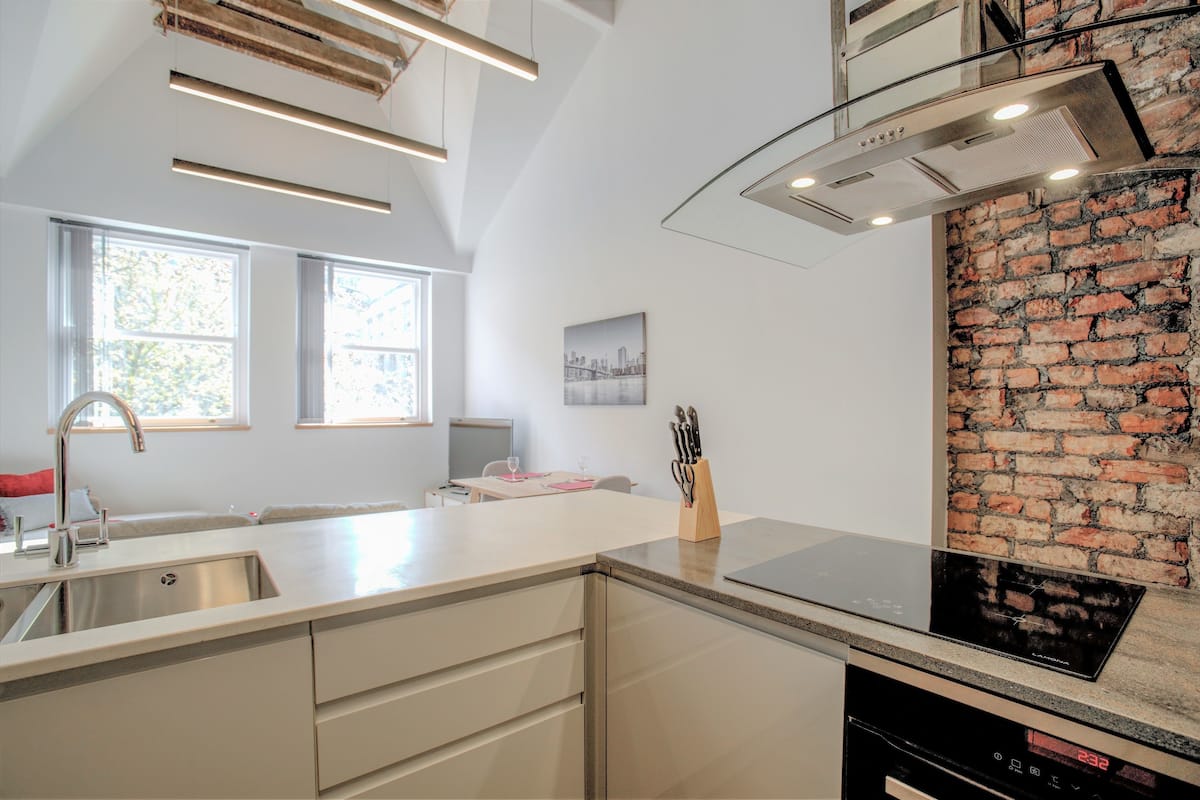Luxury Apartment (17) | Private kitchen | Full-size fridge, microwave, oven, stovetop