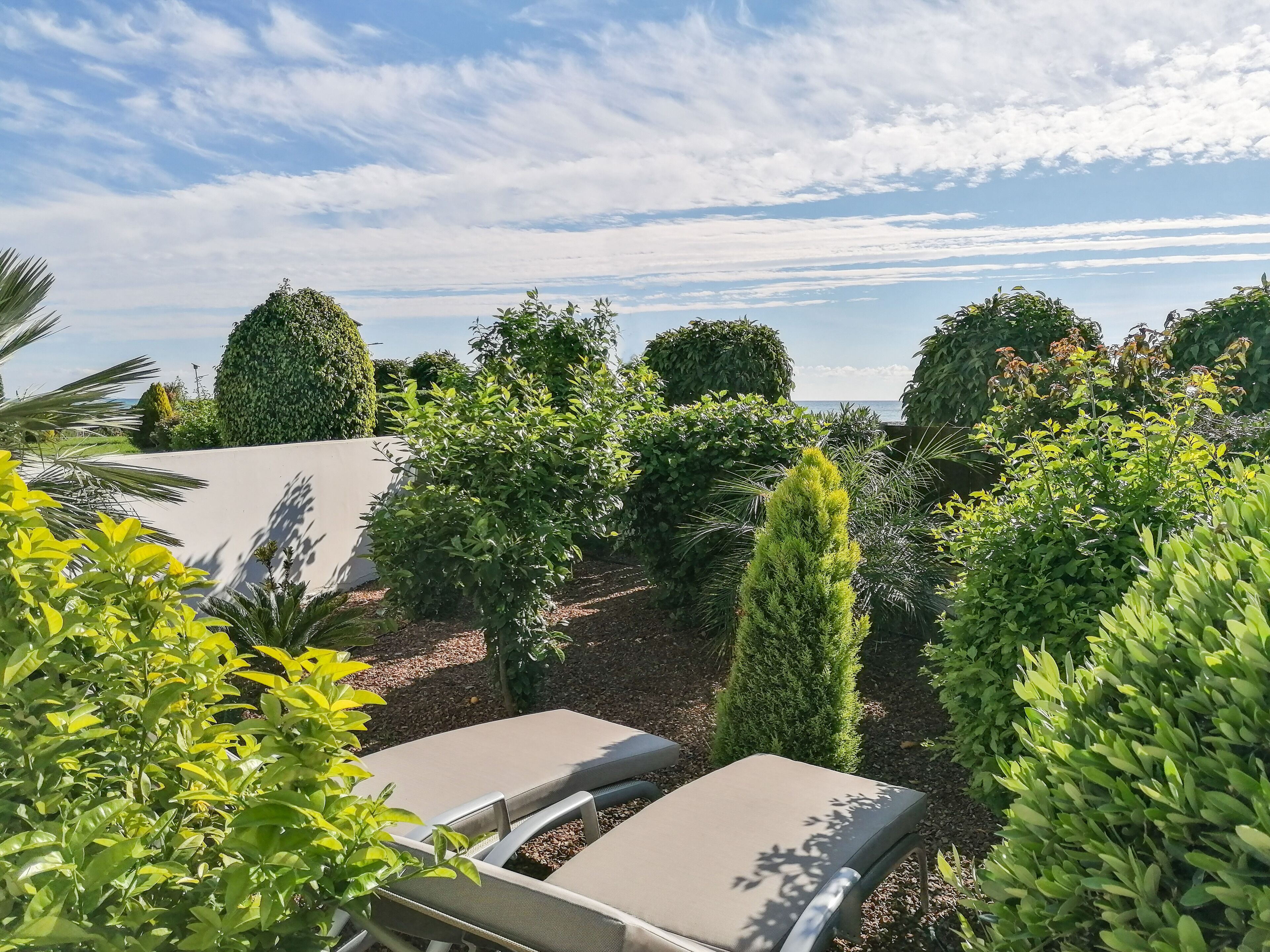 A garden with various plants and a seating area with two lounge chairs.