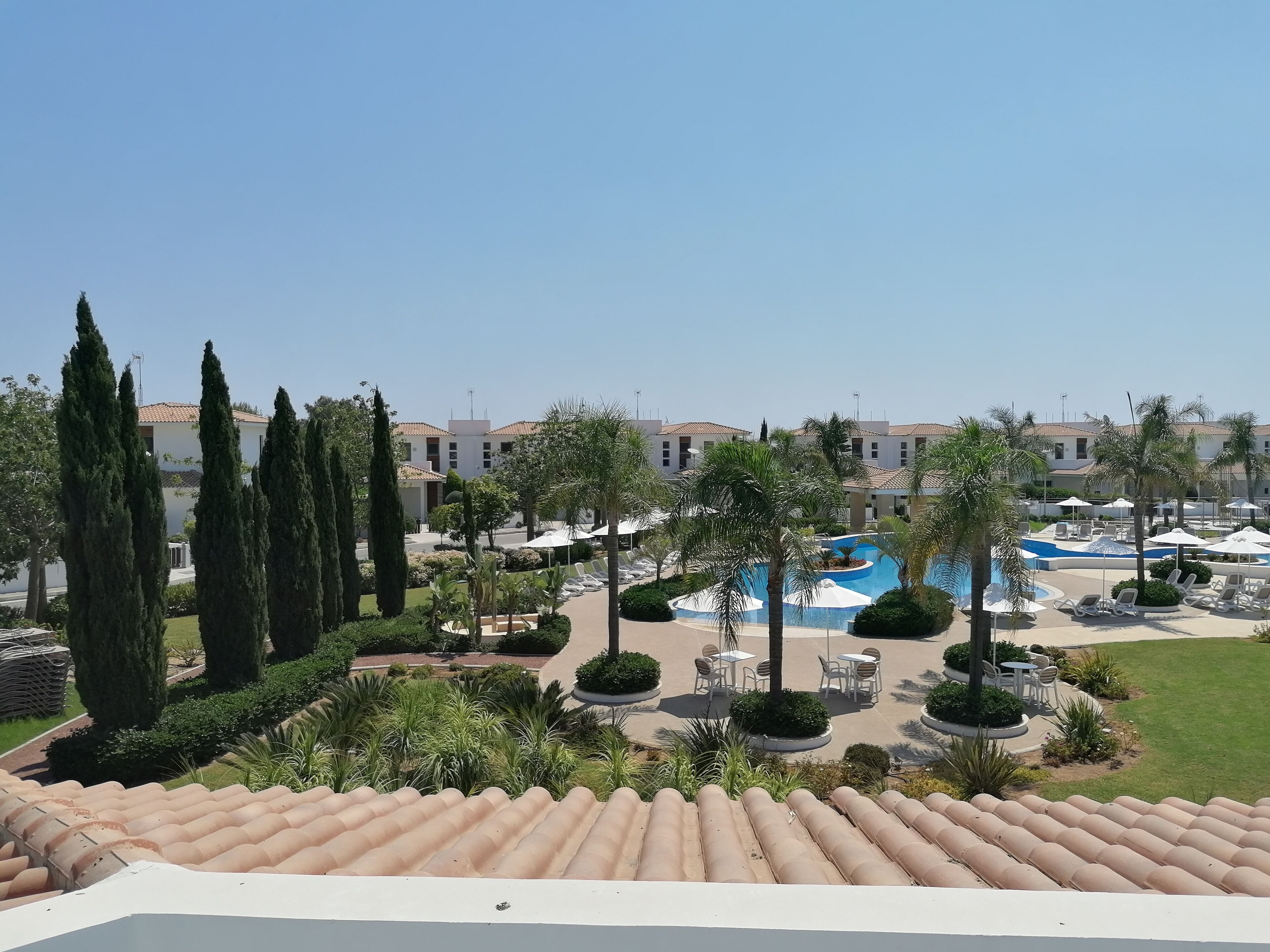 A resort with a swimming pool, lounge chairs, and palm trees.