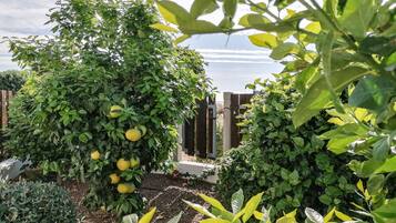 Luksushuvila, 3 makuuhuonetta, osittainen merinäköala | Terassi/patio