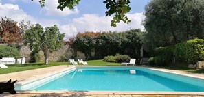Une piscine rectangulaire à l’eau d’un bleu limpide, entourée d’une terrasse en pierre. On y aperçoit deux chaises longues blanches et, au premier plan, un chien.
