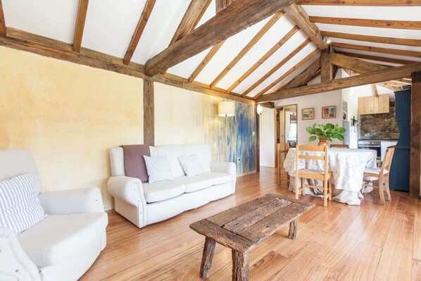 TV, fireplace, books, offices