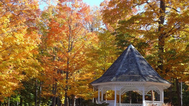 A gazebo in a park with autumn foliage, surrounded by benches and picnic tables.