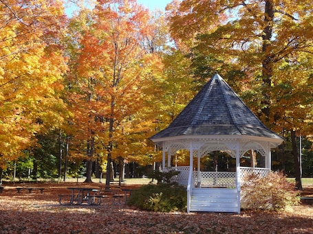 Property grounds. -Up North Cabin Across from Big Glen Lake.