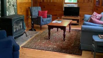 Smart TV, fireplace, DVD player, books