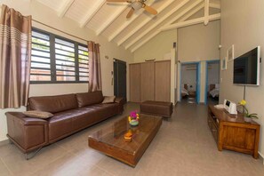 TV, DVD player, books, video library