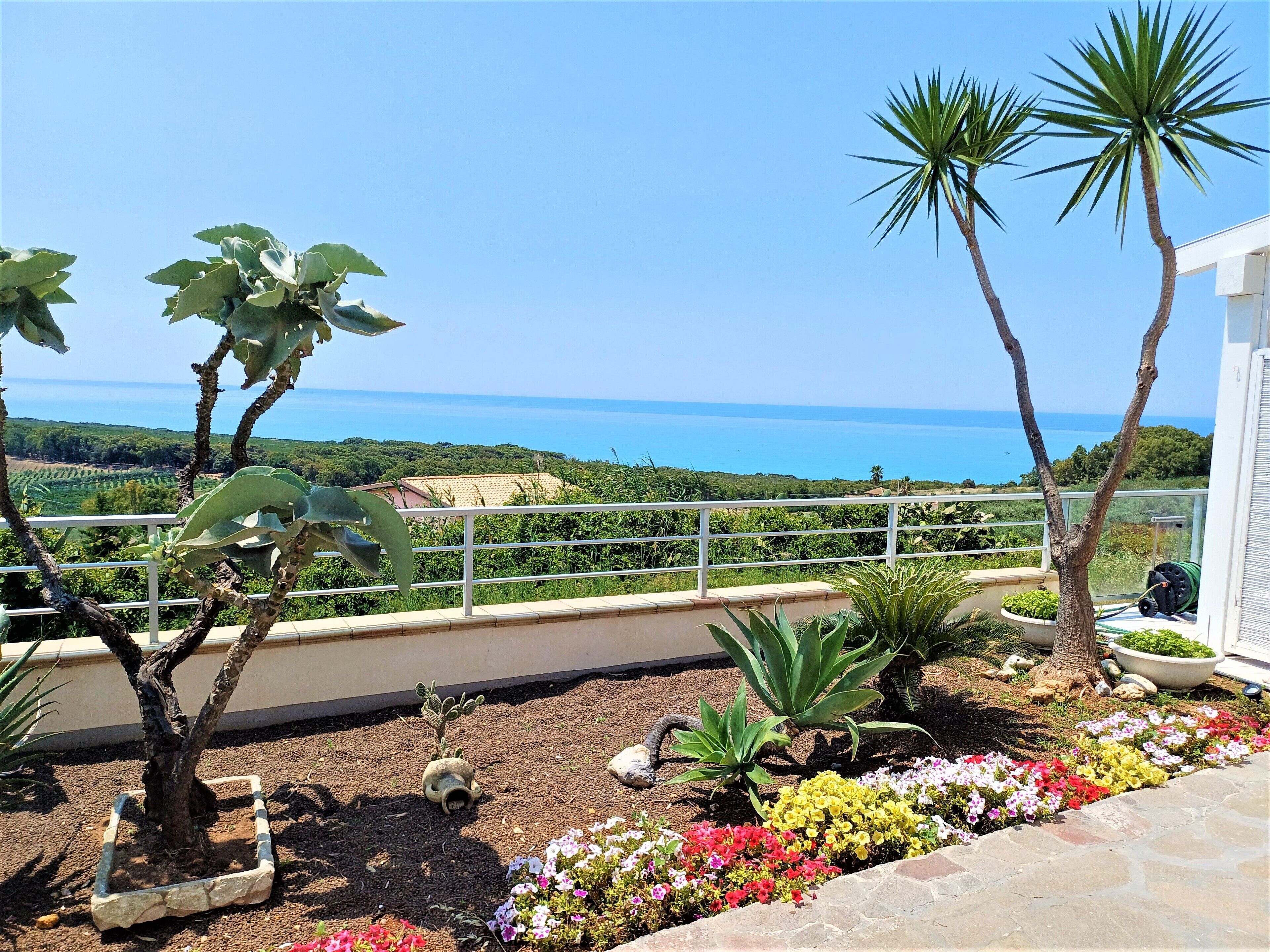 Un balcone con vista sul mare, circondato da piante e fiori.