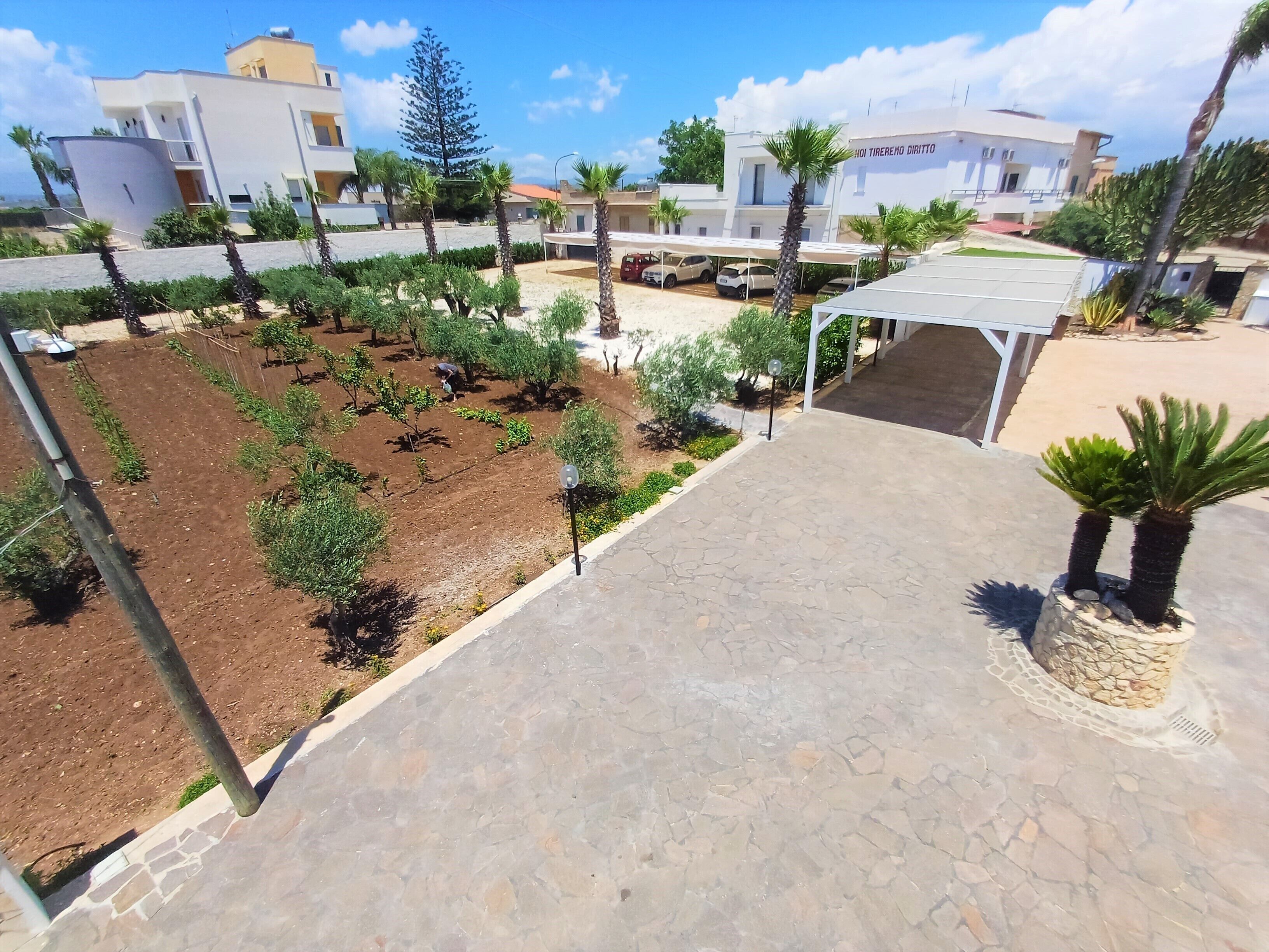 Un pati amb un camí pavimentat, envoltat de palmeres i diverses plantes.
