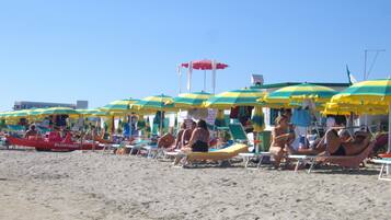 Playa en los alrededores