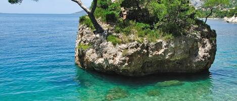 A rocky island with trees surrounded by clear blue water.