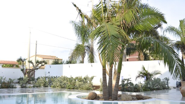 Una piscina rodeada de palmeras y rocas, con un muro blanco y un edificio al fondo.