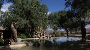 A tranquil outdoor pool area with a wooden sculpture, surrounded by lush greenery and rocks. - Norotshama River Resort (Aussenkehr)