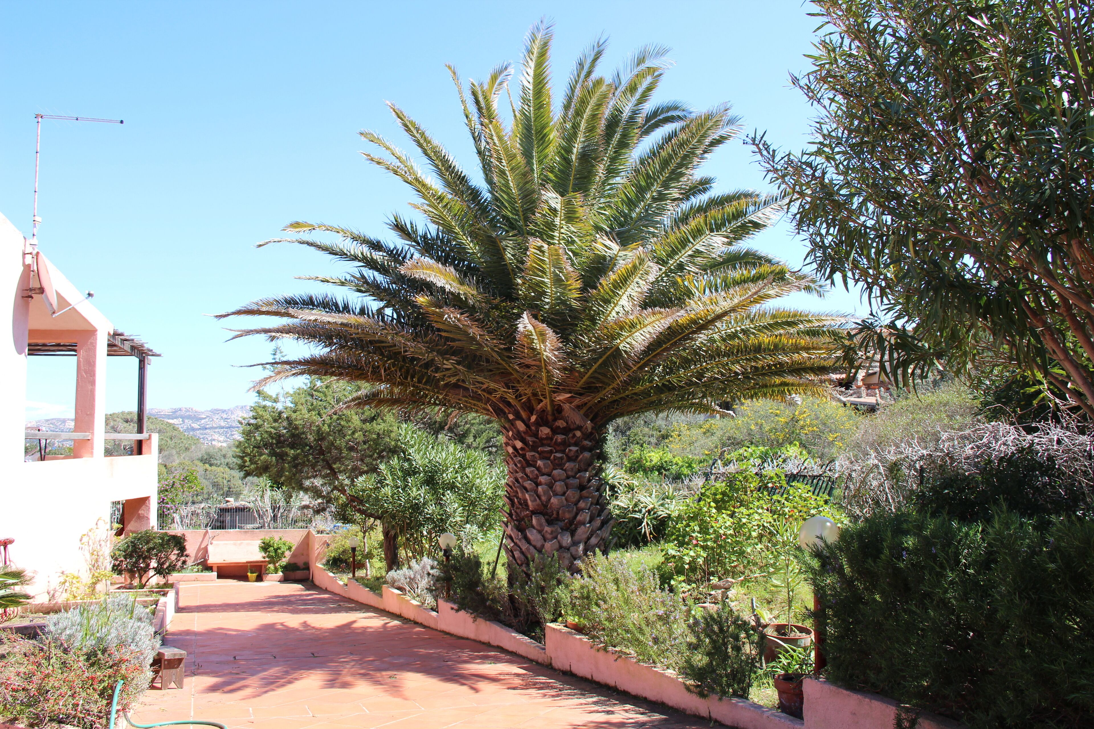 Parco della struttura