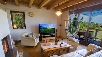 Smart TV, fireplace, video-game console, DVD player