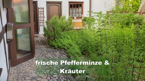 Ein Gartenweg führt zu einem weißen Gebäude mit brauner Tür und Fenster.