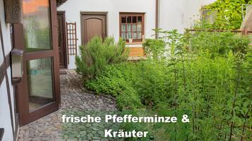 Detalle del exterior